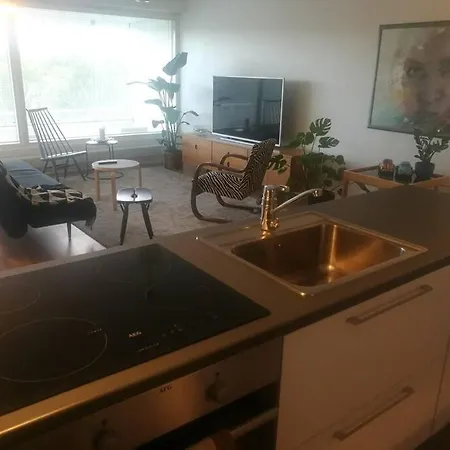 Ylimmaen Kerroksen Luksusnaekymaet Ydinkeskustassa Apartment